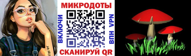 площадка Telegram наркота Поворино Псилоцибиновые грибы Psilocybine cubensis